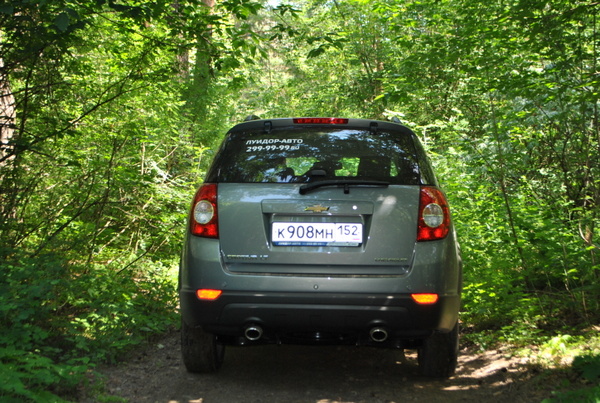 Chevrolet Captiva в лесу с включенными задними фарами